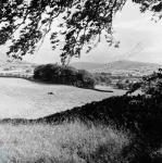 Haymaking, Hawes, 1964